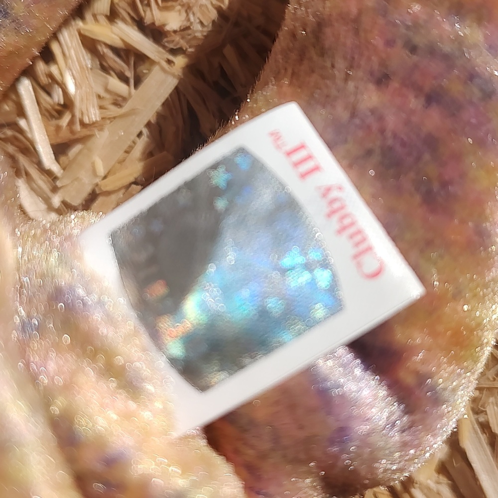 Clubby lll/Ty 🐻 - Picture 10 of 12